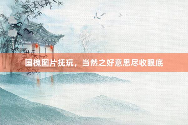 国槐图片抚玩，当然之好意思尽收眼底