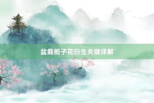 盆栽栀子花衍生关键详解